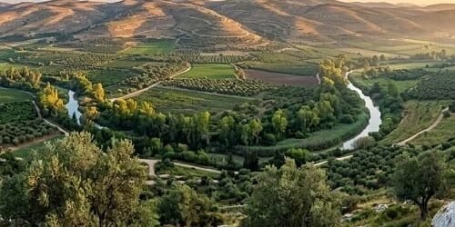 Estudo Bíblico no Livro de Gênesis