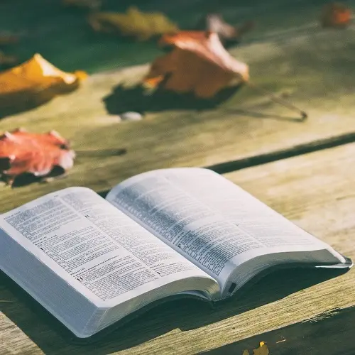 BiBliologia - As Origens da Bíblia - Rev. Fabiano Queiroz