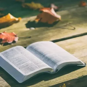 Quem Foi o Apóstolo Pedro na Bíblia? História, Fé e Legado 7 Quais são os 13 principais assuntos bíblicos? - Rev. Fabiano Queiroz