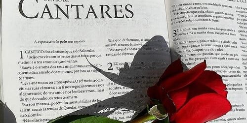 Introdução, Comentário e Estudo Bíblico no Livro de Cantares
