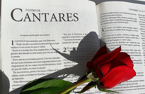 Introdução, Comentário e Estudo Bíblico em Cantares de Salomão