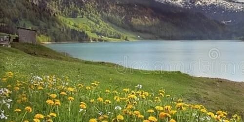 Estudo Bíblico e Pregação em Joel 3:13-21: A Restauração Eterna