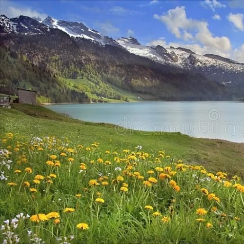 Pregação e Estudo Bíblico em Joel 3:13-21: A Restauração Eterna - Rev. Fabiano Queiroz