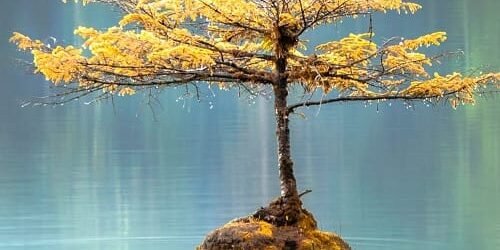 Como viver em santidade: Levítico 19:1–4