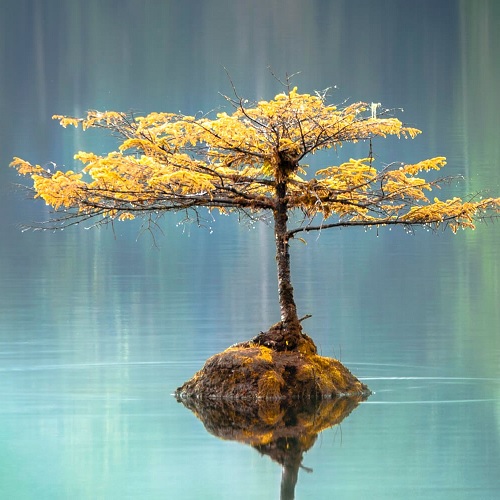 Esboço para Pregação de Sermão Expositivo: Como viver em santidade em um mundo impuro - Levítico 19:1–4