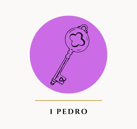 A Bíblia de Sermões do Pregador com Esboços Bíblicos para Pregação Expositiva e Estudos Bíblicos em 1 Pedro - Rev. Fabiano Queiroz