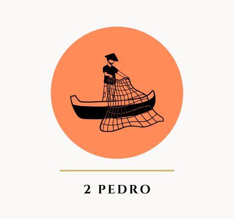 A Bíblia de Sermões do Pregador com Esboços Bíblicos para Pregação Expositiva e Estudos Bíblicos em 2 Pedro - Rev. Fabiano Queiroz