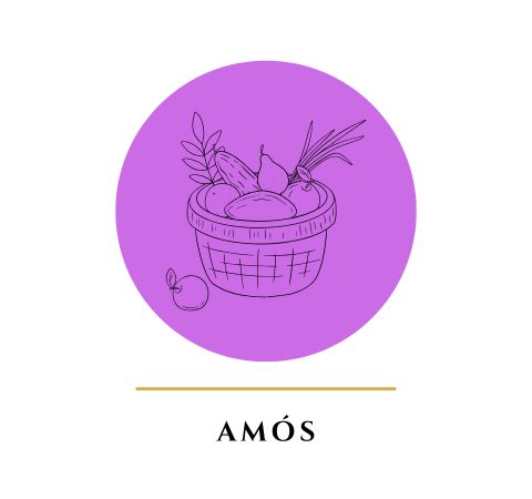 Esboços Bíblicos para Pregação Expositiva e Estudos Bíblicos no profeta Amós- Rev. Fabiano Queiroz