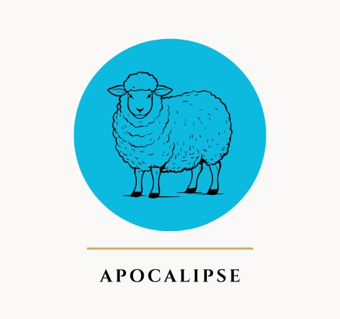 A Bíblia de Sermões do Pregador com Esboços Bíblicos para Pregação Expositiva e Estudos Bíblicos em Apocalipse - Rev. Fabiano Queiroz