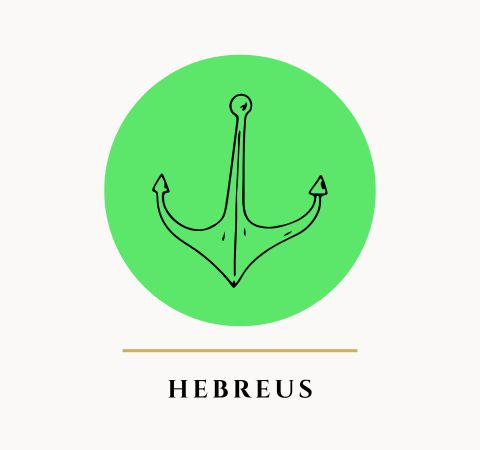 A Bíblia de Sermões do Pregador com Esboços Bíblicos para Pregação Expositiva e Estudos Bíblicos em Hebreus - Rev. Fabiano Queiroz