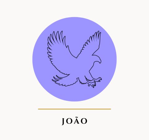 Pregação Expositiva, Esboço de Pregação, Estudo Bíblico, Sermão, Esboço Bíblico no Evangelho de João - Rev. Fabiano Queiroz