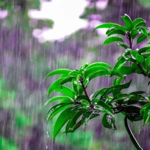 O Fundamento da Salvação - Tito 3-3–7 - Qual o fundamento da salvação O que fez Deus agir quando você não merecia nada - Rev. Fabiano Queiroz