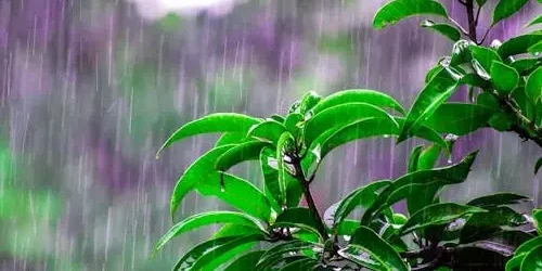 O Fundamento da Salvação – Tito 3:3–7