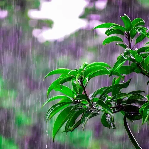 O Fundamento da Salvação - Tito 3:3–7 - Qual o fundamento da salvação O que fez Deus agir quando você não merecia nada - Rev. Fabiano Queiroz