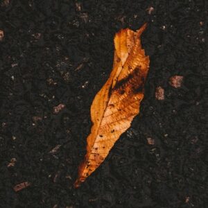 Uma análise exegética dos 10 leprosos e a gratidão - Rev. Fabiano Queiroz