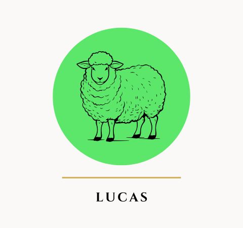 Pregação Expositiva, Esboço de Pregação, Estudo Bíblico, Sermão, Esboço Bíblico no Evangelho de Lucas - Rev. Fabiano Queiroz