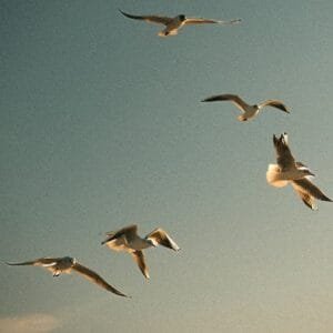 A Escolha Que Define Tudo - Deus, o Livre-Arbítrio e o Caminho que Leva à Vida - Deuteronômio 30 - Rev. Fabiano Queiroz