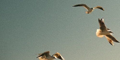 A Escolha Que Define Tudo: Deus, o Livre-Arbítrio e o Caminho que Leva à Vida